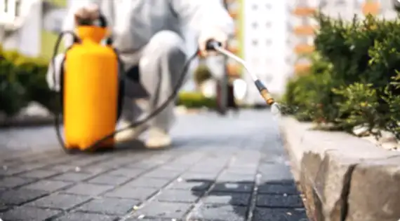 İlaçlama ve Kontrol