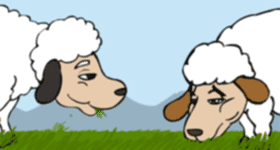 Dollvet Reklam Filmi 